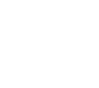 Blue Star Group