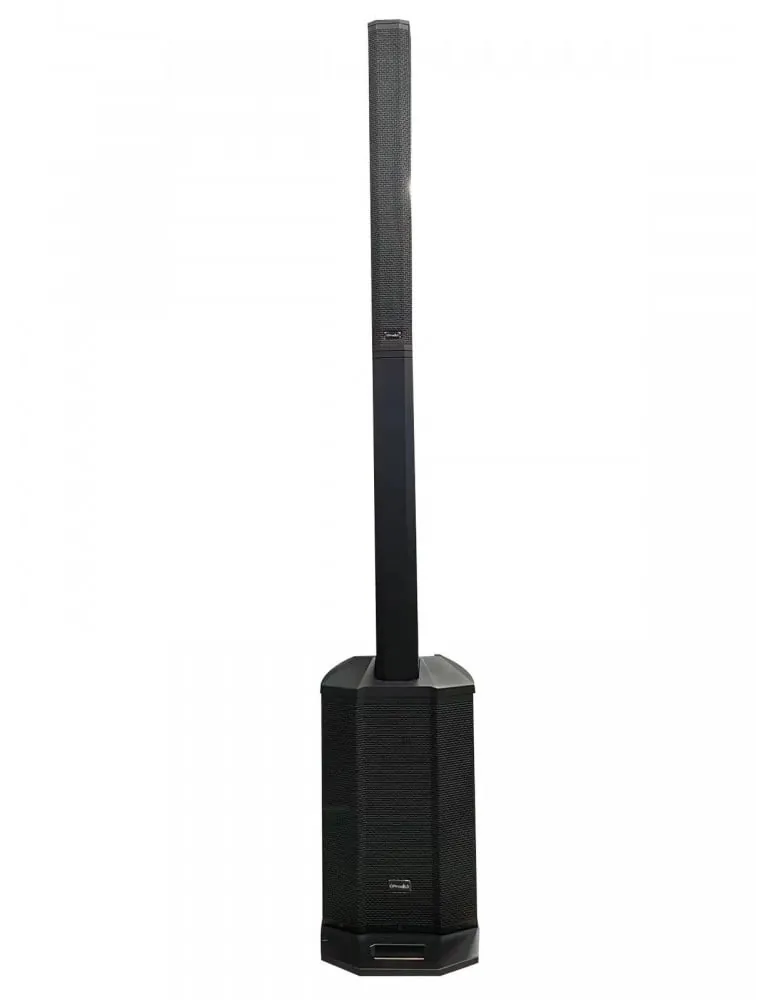 Kit 2 Mini Line Array + 2 Mic Inalámbricos